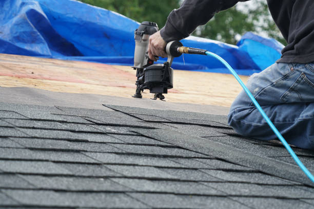 Best Shingle Roofing Installation  in Blanding, UT
